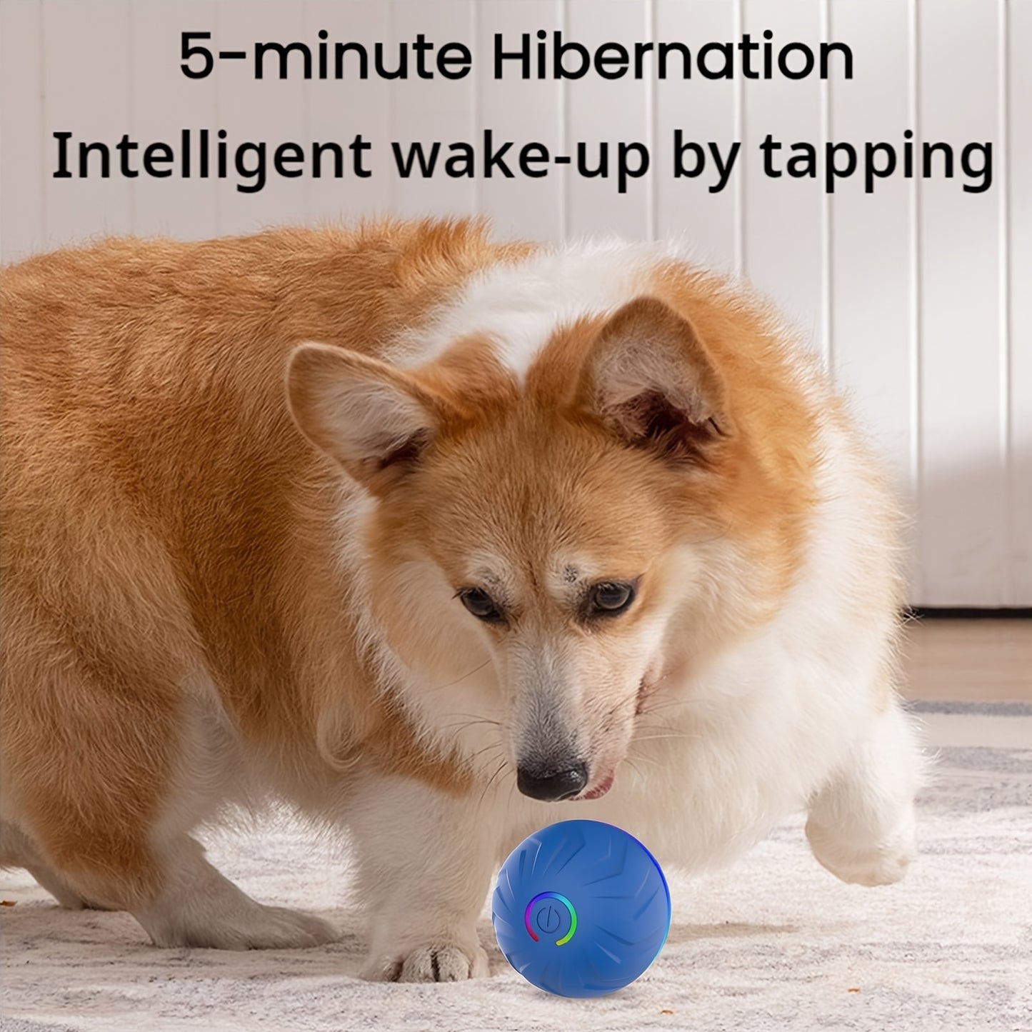 Rechargeable Interactive Pet Ball for Active Dogs and Cats