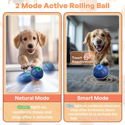 Interactive Rechargeable Dog Ball - Motion-Activated Fun