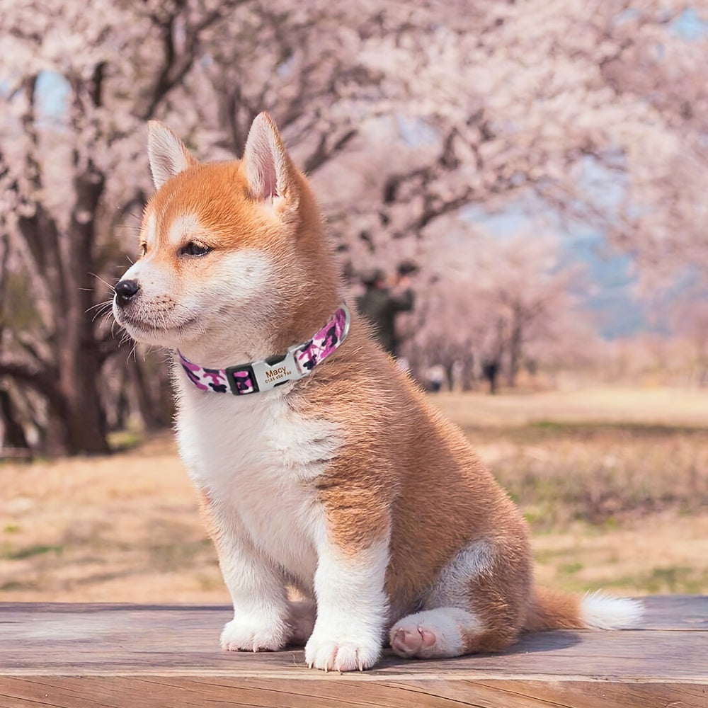 Personalized Camouflage Dog Collar with Free Engraving Tag