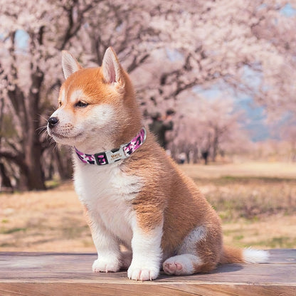 Personalized Camouflage Dog Collar with Free Engraving Tag