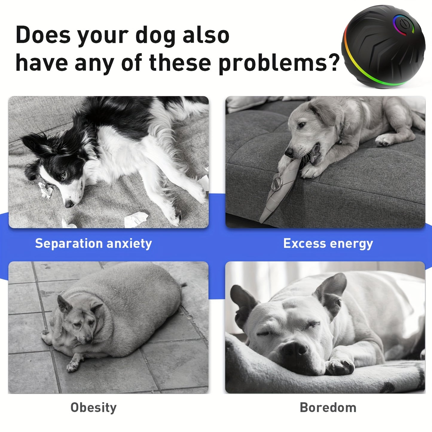 Interactive Rechargeable Dog Ball - Motion-Activated Fun