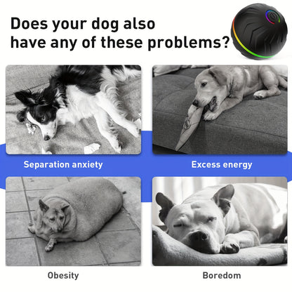 Interactive Rechargeable Dog Ball - Motion-Activated Fun