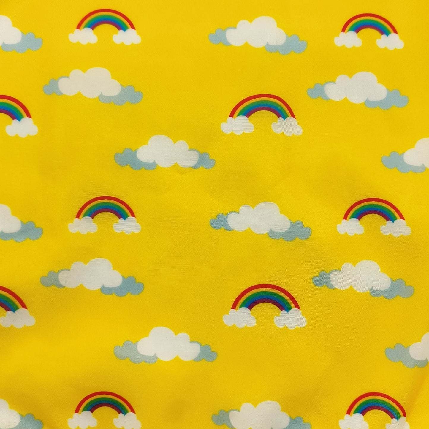 Reversible Dog Raincoat, Adjustable, Duck Print