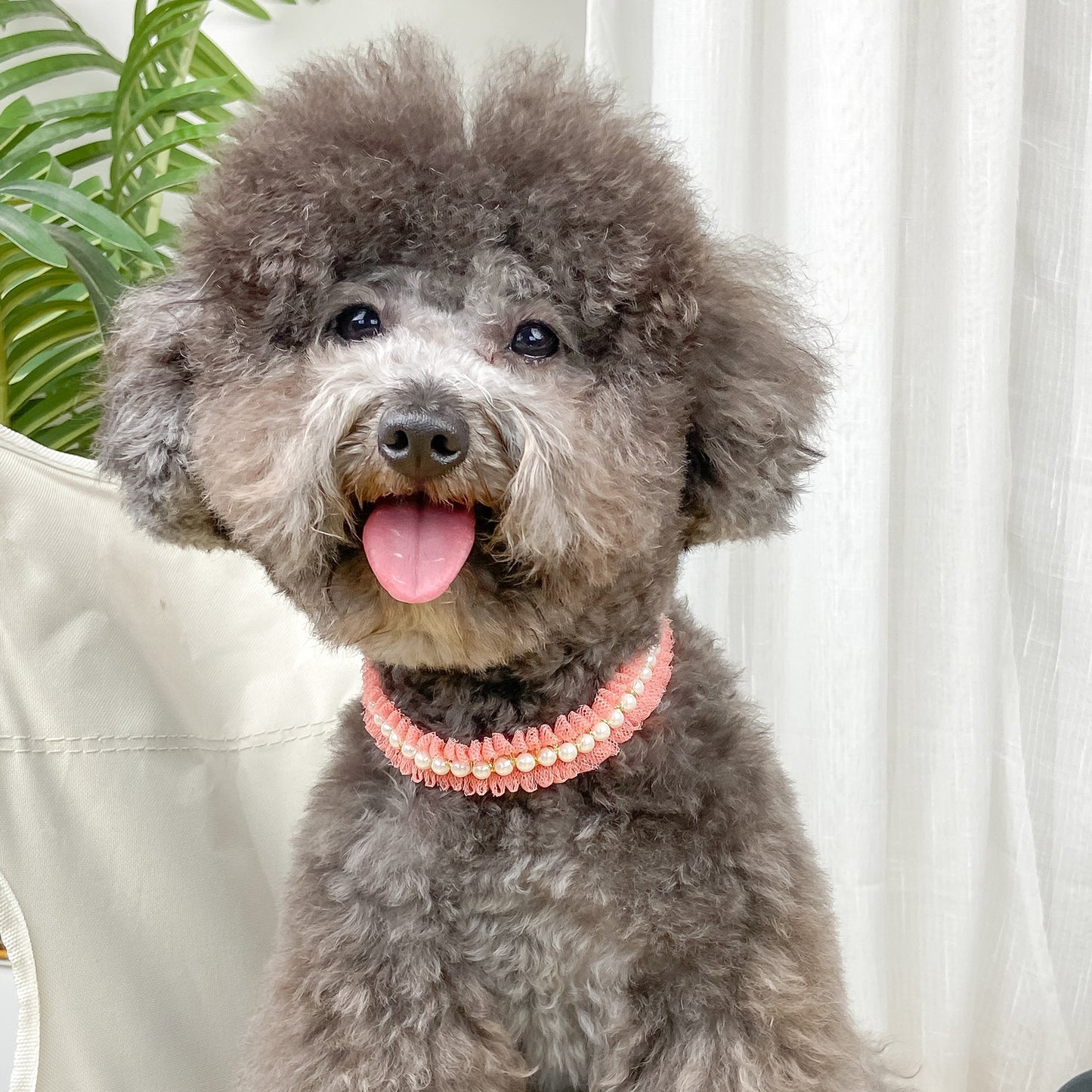 Elegant Pearl and Lace Adjustable Pet Collar for Stylish Pets