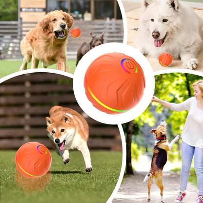 Rechargeable Interactive Pet Ball for Active Dogs and Cats