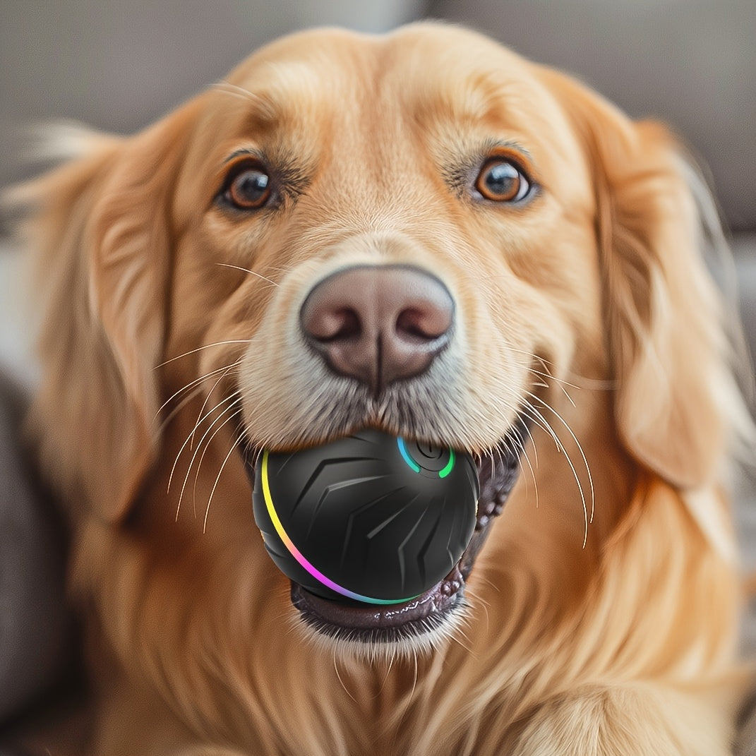 Interactive Rechargeable Dog Ball - Motion-Activated Fun