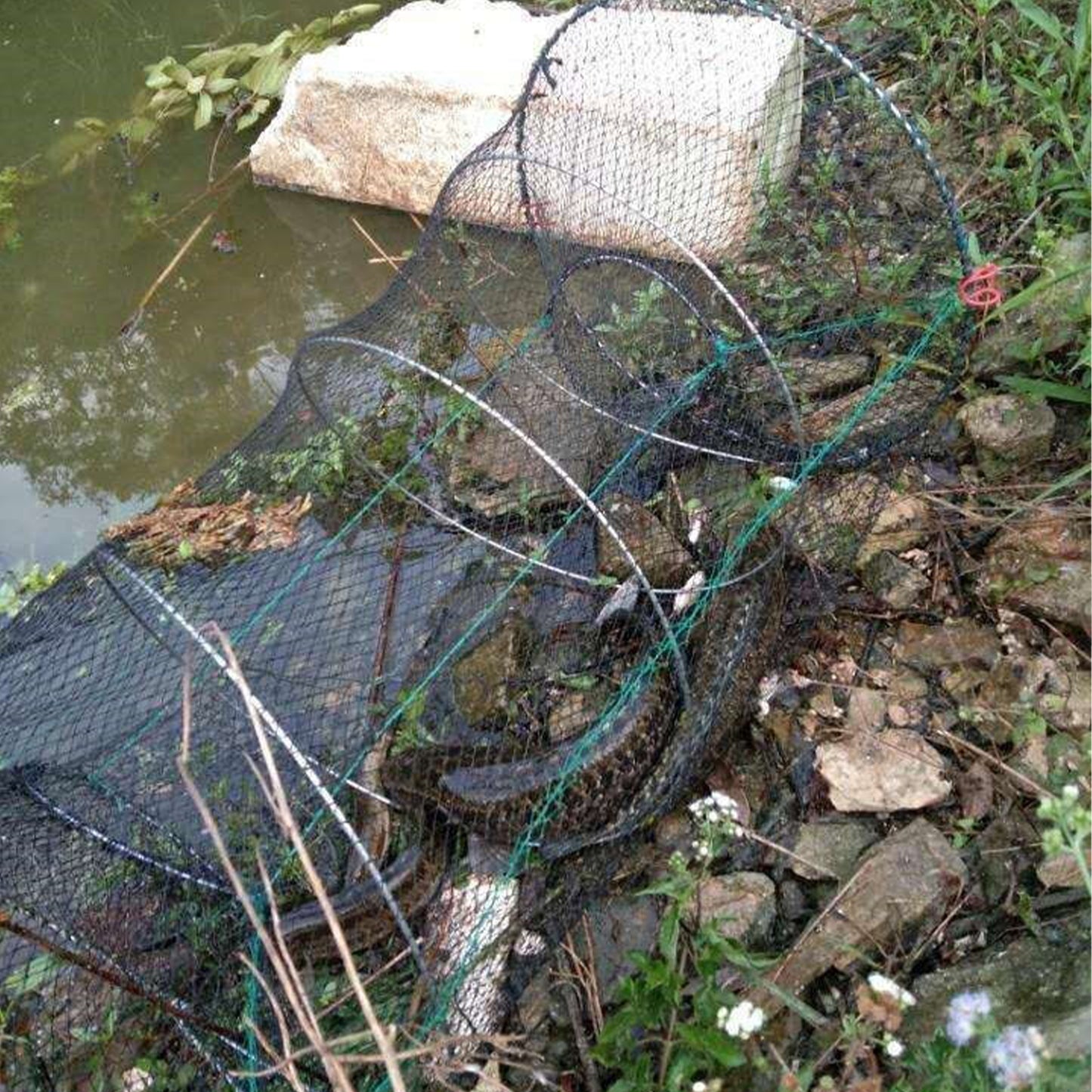 Portable Foldable Fishing Net for Shrimp and Crab Trapping