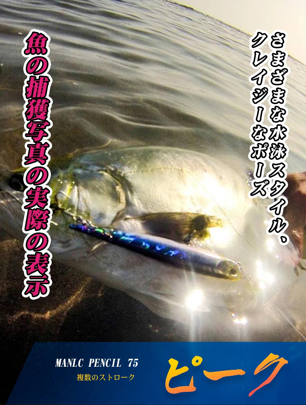 Large fish hooked on blue fishing lure in shallow water, outdoor fishing gear closeup