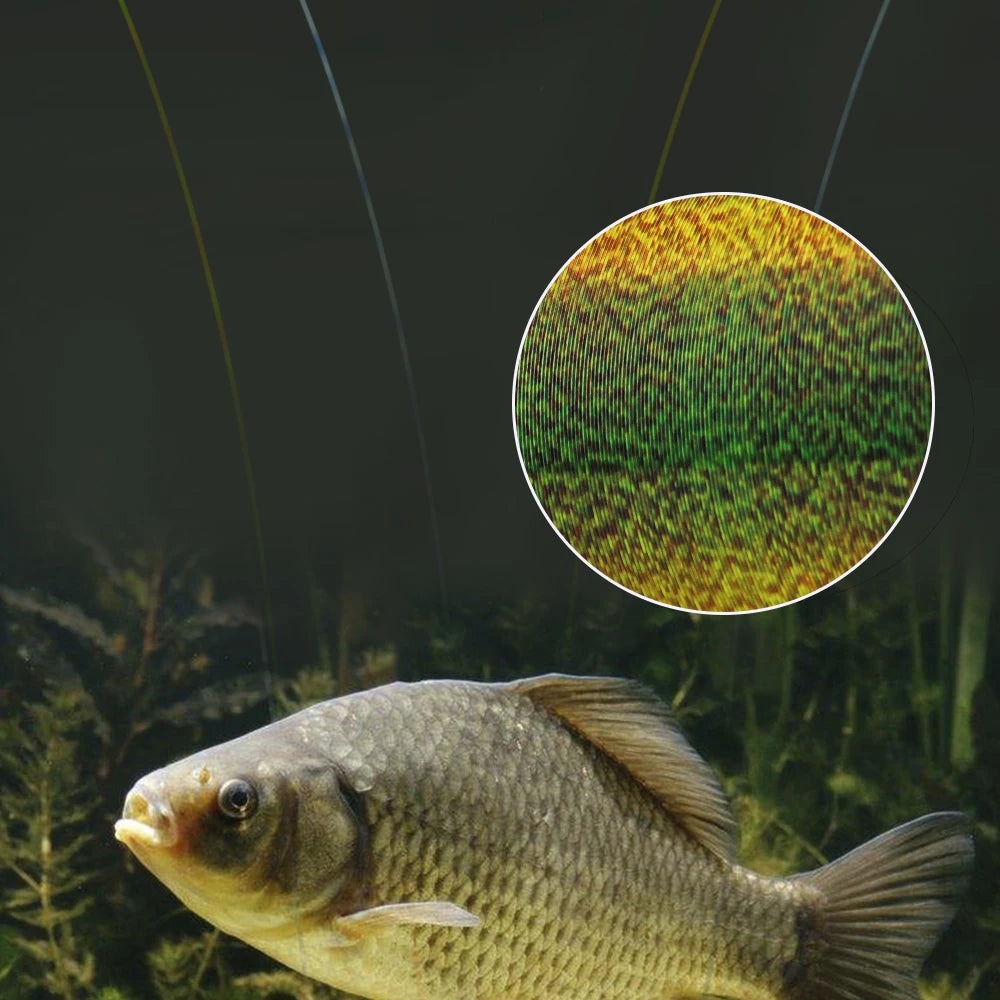 HookUpCo. Super Strong Fishing Line - HookUpCo.