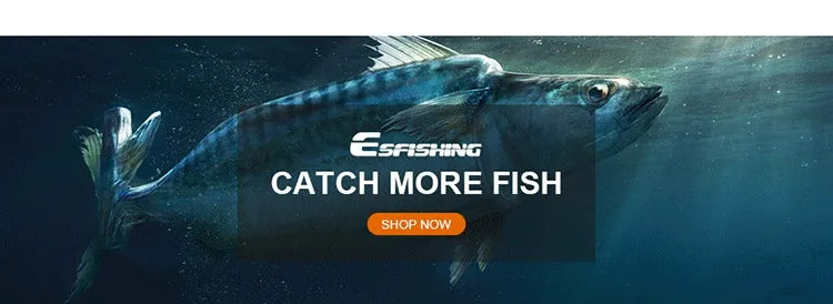 Large fish swimming underwater with 'Catch More Fish' and 'Shop Now' call-to-action banner.