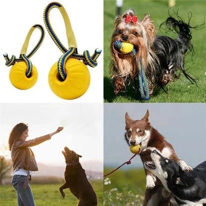 HookUpCo. Durable Chew Ball for Playful Puppies