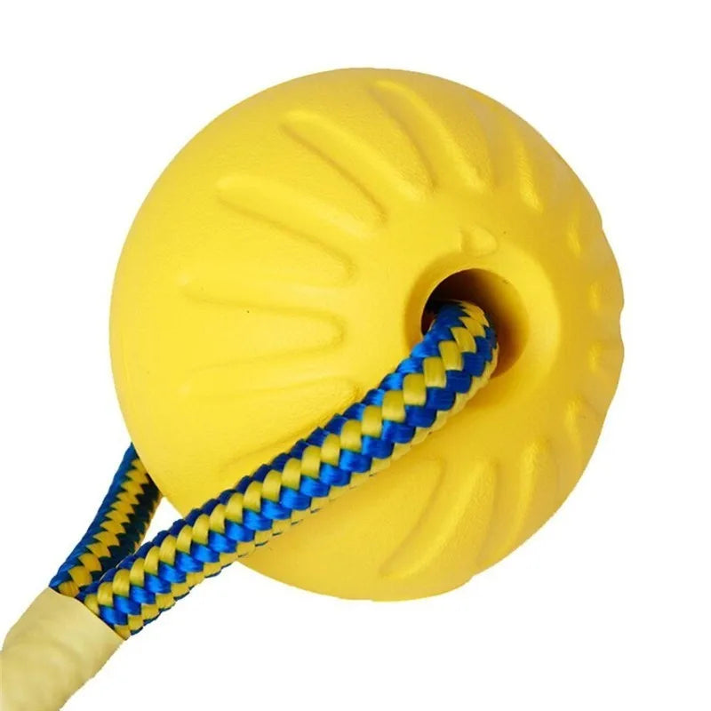 HookUpCo. Durable Chew Ball for Playful Puppies