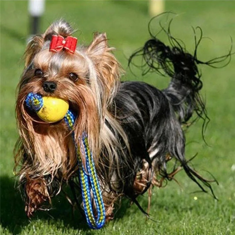 HookUpCo. Durable Chew Ball for Playful Puppies
