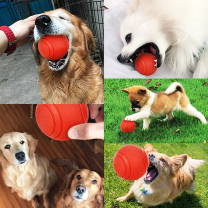 HookUpCo. Durable Rubber Dog Ball for Play