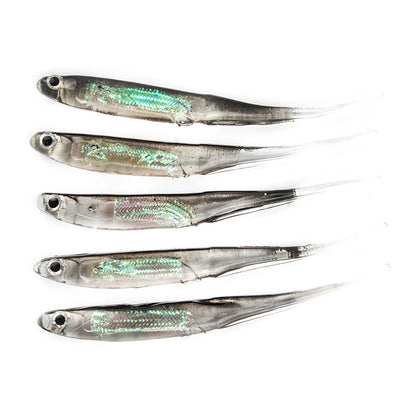HookUpCo. Rainbow T Tail Fishing Lures - 5 Pack