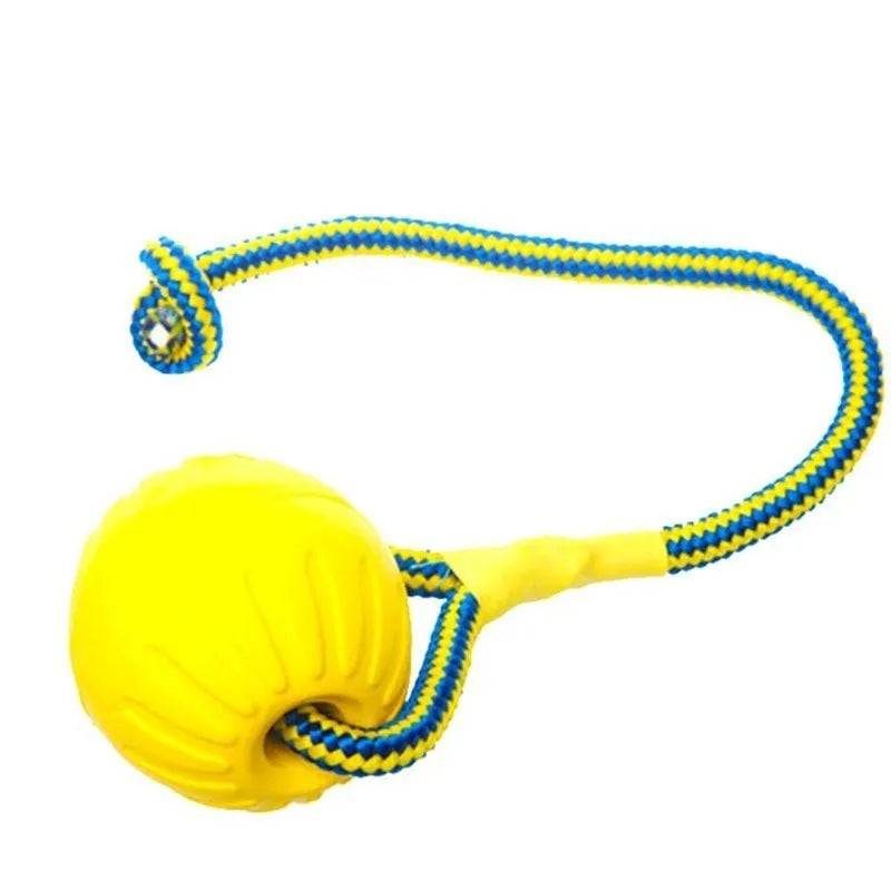 HookUpCo. Durable Chew Ball for Playful Puppies