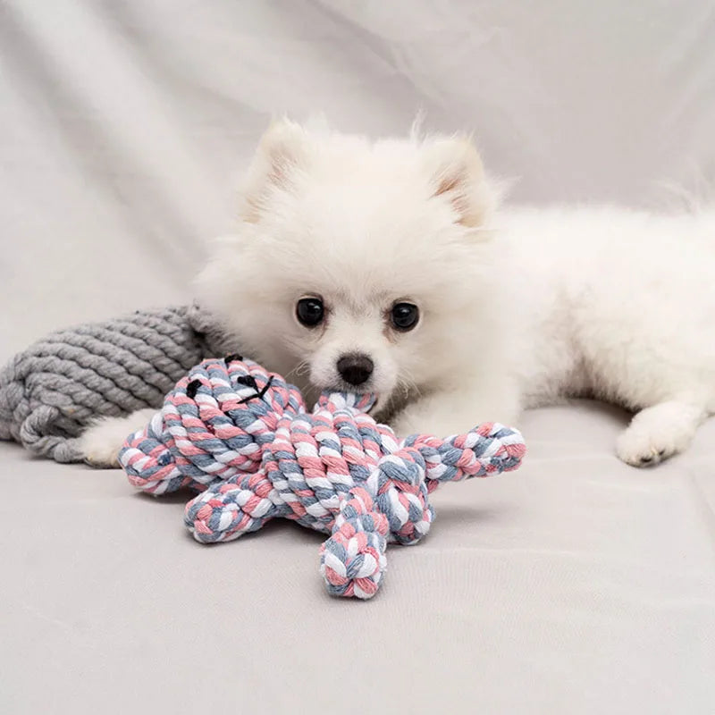HookUpCo. Durable Chew Toys for Small Dogs