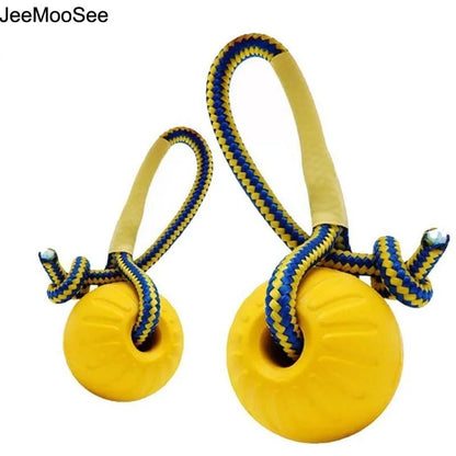 HookUpCo. Durable Chew Ball for Playful Puppies