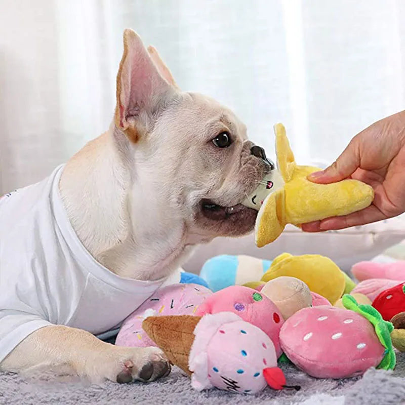 HookUpCo. Plush Squeaky Dog Toy for Chewers