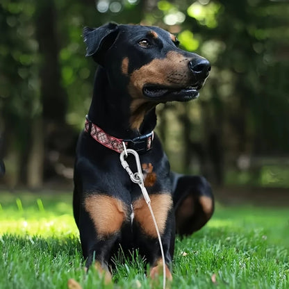 Double-Headed Dog Tie Out Cable Leash with Metal Buckle