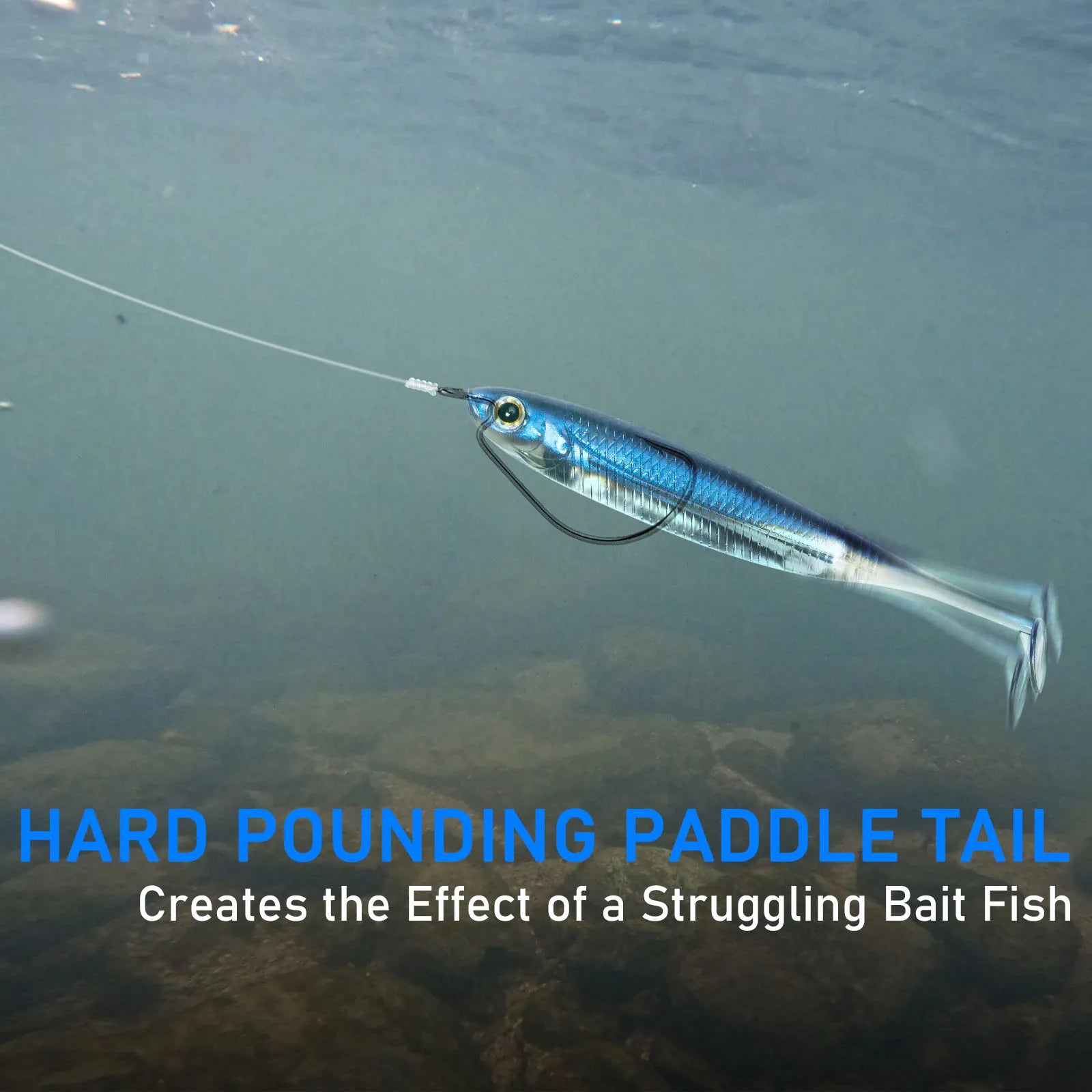 Blue paddle tail fishing lure underwater, mimicking a struggling bait fish above rocks