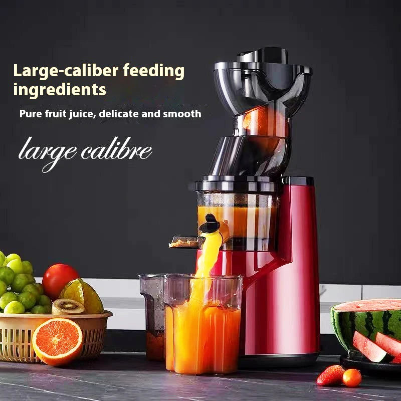 Effortless Juice Extraction System