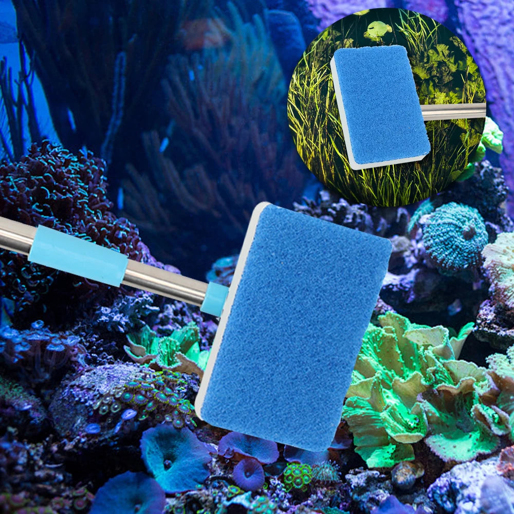 Double-Sided Aquarium Cleaning Brush