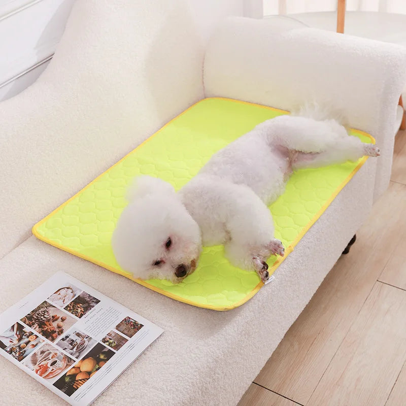 HookUpCo. Washable Anti-Slip Dog Pee Pad