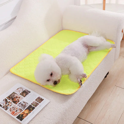 HookUpCo. Washable Anti-Slip Dog Pee Pad