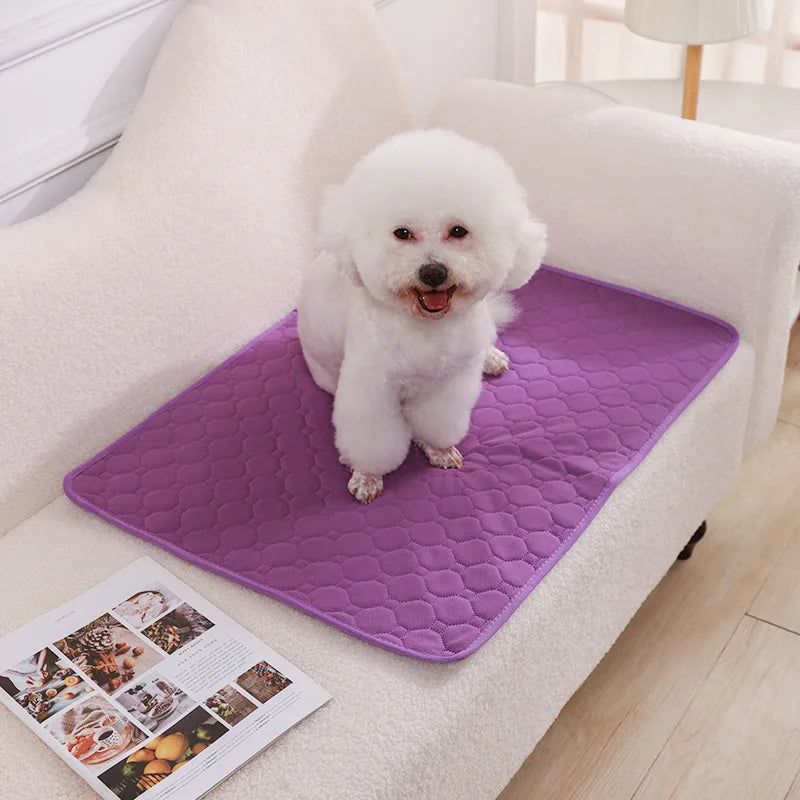 HookUpCo. Washable Anti-Slip Dog Pee Pad