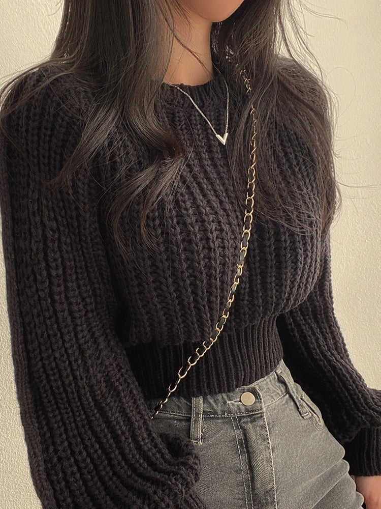 Chic Vintage Lantern Sleeve Women’s Sweater - HookUpCo.