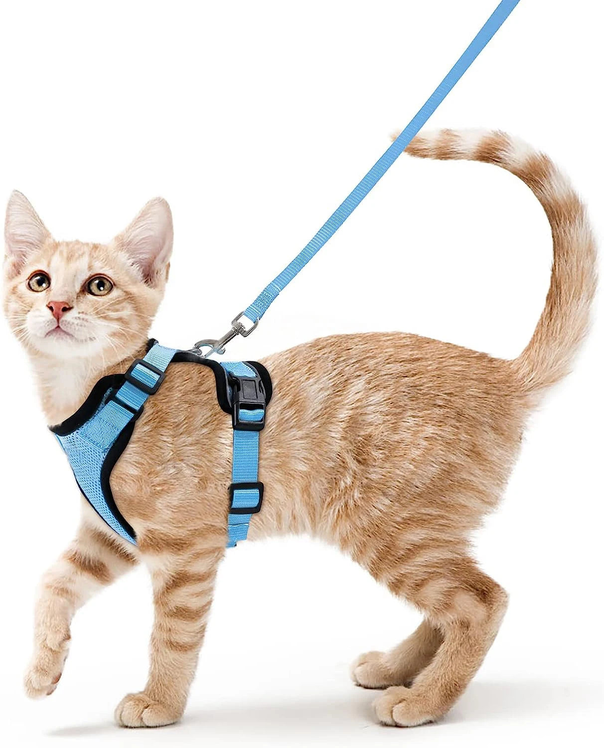 HookUpCo. Escape-Proof Cat Harness and Leash