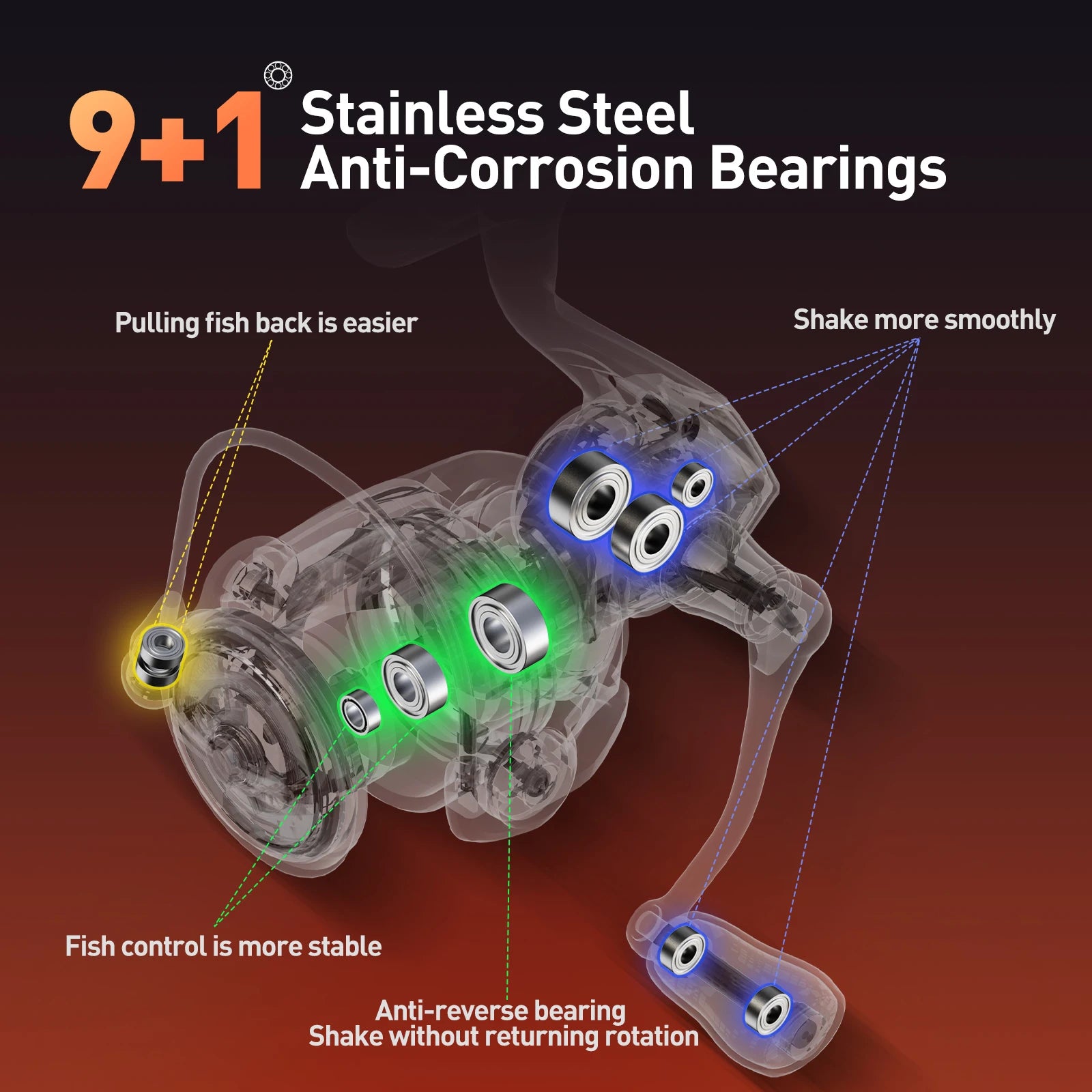 Fishing reel diagram showing 9+1 stainless steel anti-corrosion bearings for smooth, stable use.