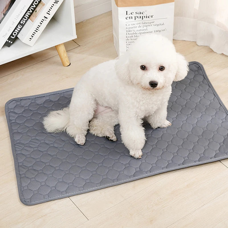 HookUpCo. Washable Anti-Slip Dog Pee Pad