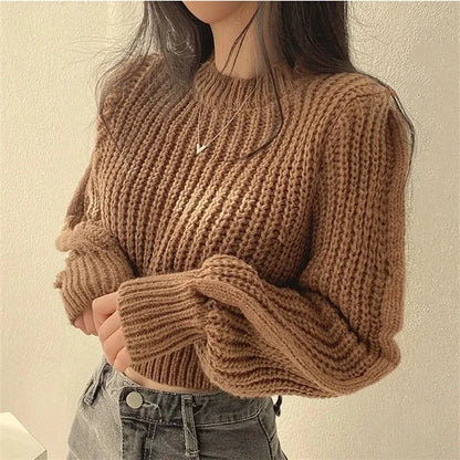 Chic Loose Vintage Lantern Sleeve Sweater for Women