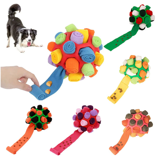 HookUpCo. Sniffing Ball for Fun Puppy Training