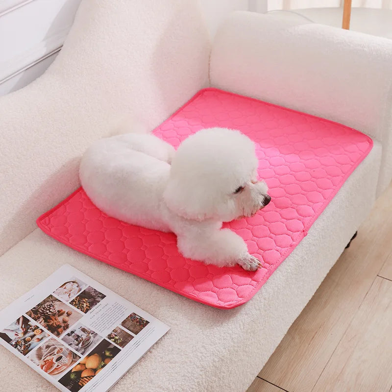 HookUpCo. Washable Anti-Slip Dog Pee Pad