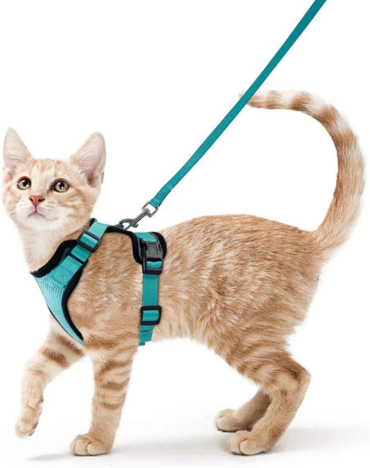 HookUpCo. Escape-Proof Cat Harness and Leash