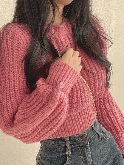 Chic Vintage Lantern Sleeve Women’s Sweater - HookUpCo.