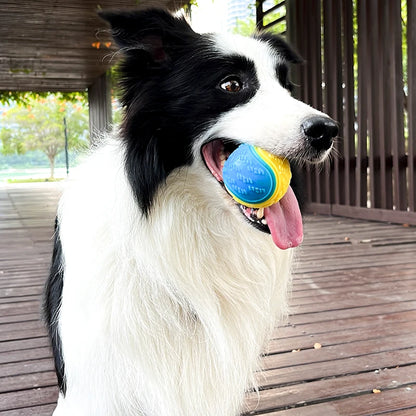 Soft TPR Squeaky Dog Ball Toy for Teeth Cleaning Fun