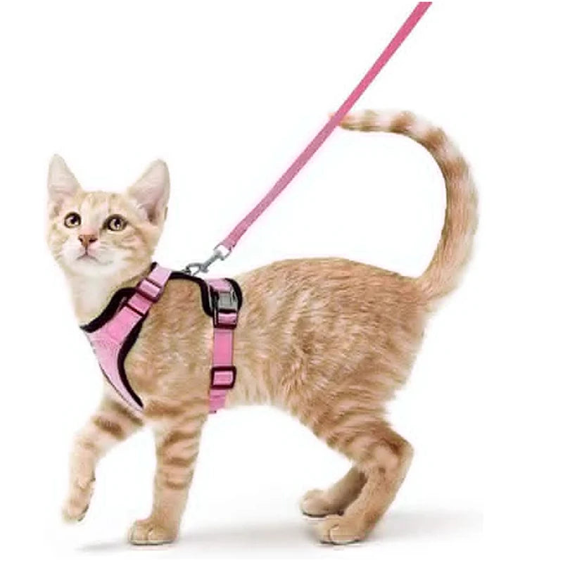 HookUpCo. Escape-Proof Cat Harness and Leash