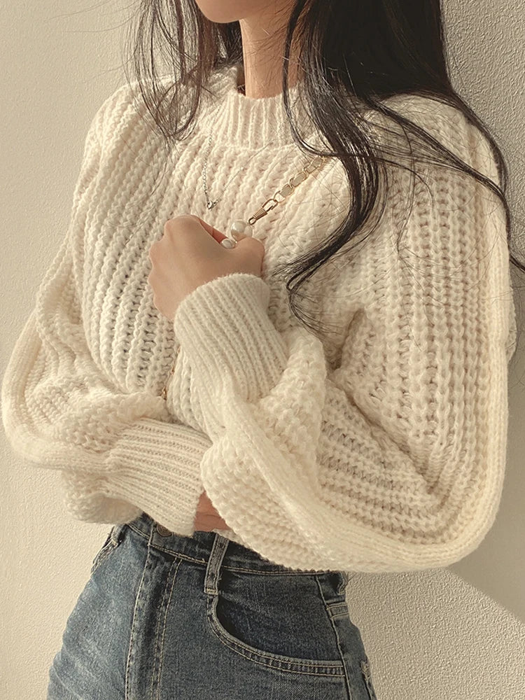 Chic Vintage Lantern Sleeve Women’s Sweater - HookUpCo.