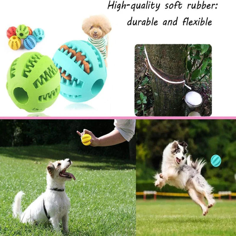 Interactive Rubber Pet Balls for Chewing and Dental Care