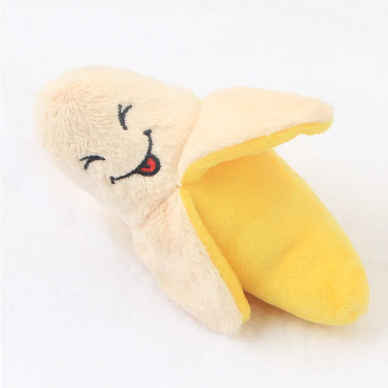 HookUpCo. Plush Squeaky Dog Toy for Chewers
