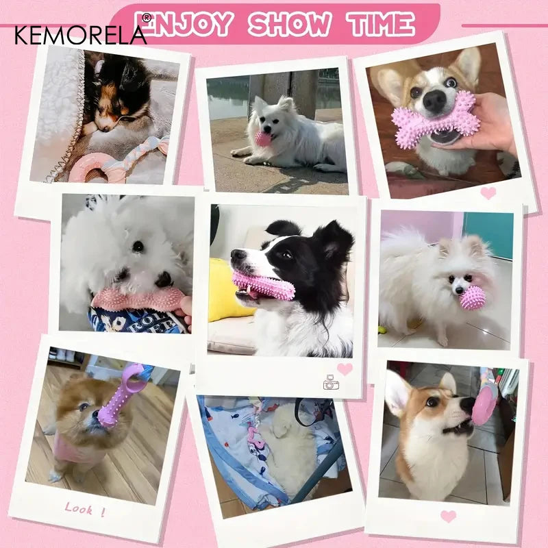 HookUpCo. Interactive Dog Chew Toy Set