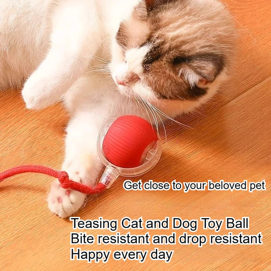 HookUpCo. Durable Pet Toys with Rope Ball