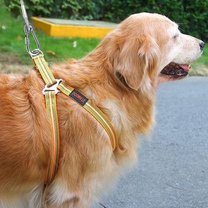 Double-Headed Dog Tie Out Cable Leash with Metal Buckle