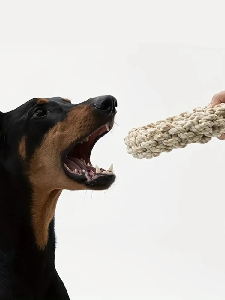 HookUpCo. Durable Dog Rope Toy for Chewing