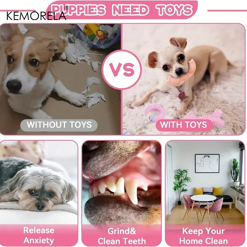 HookUpCo. Interactive Dog Chew Toy Set
