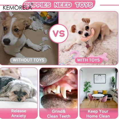 HookUpCo. Interactive Dog Chew Toy Set